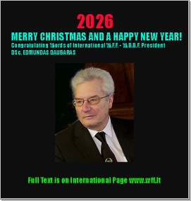 2026_new_year_1m.jpg